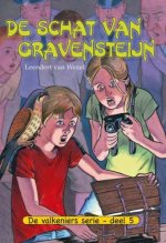 De schat van Gravensteijn (5); E-Book
